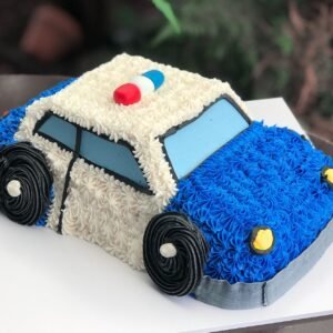 Car Shape Cake