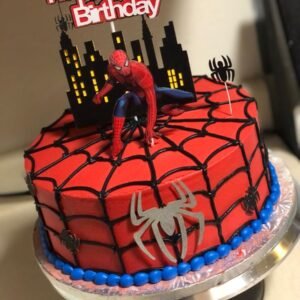 Spidey Web Cake