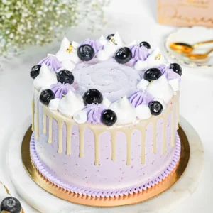 Blueberry cake 01