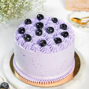 Blueberry cake 02